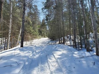 Terre à bois