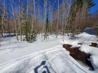 Terre à bois