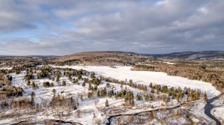 Aerial photo