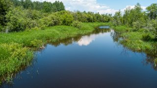 Accès au plan d'eau