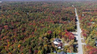 Aerial photo