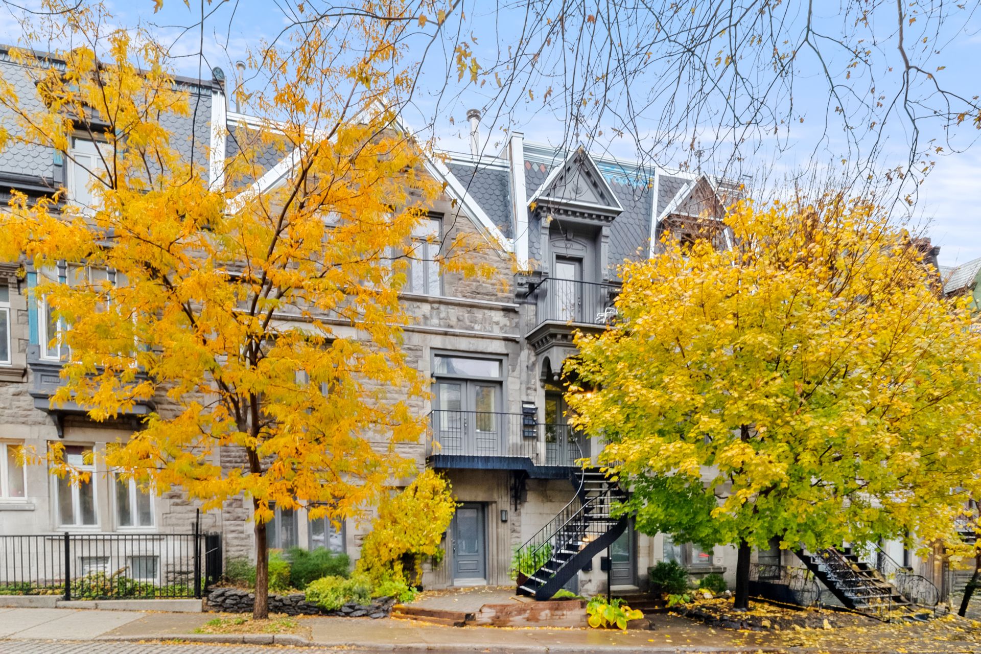 Joelle Bitar / #14494026