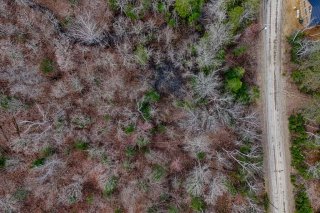 Terre/Terrain