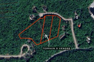 Terre/Terrain