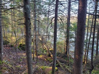 Land/Lot