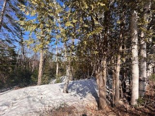 Land/Lot