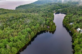 Overall View