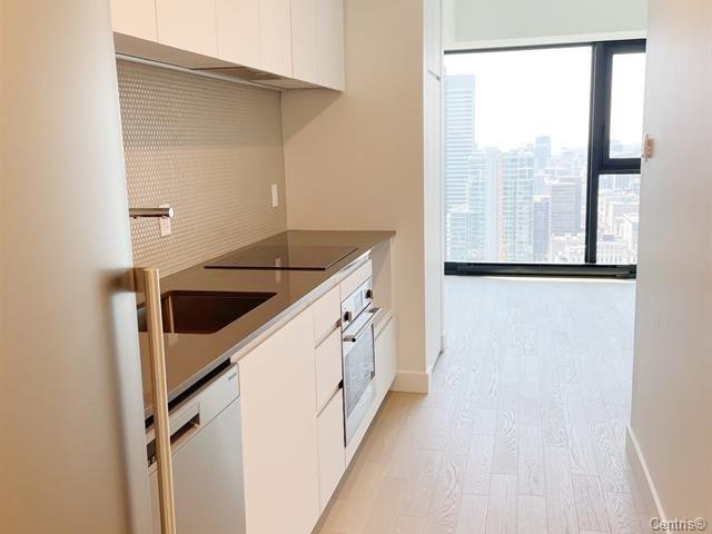 #4411 - 1210 Rue Jeanne-Mance