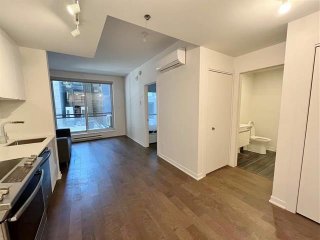 #213 - 1190 Rue MacKay