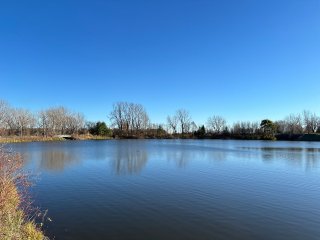 Bord de l'eau