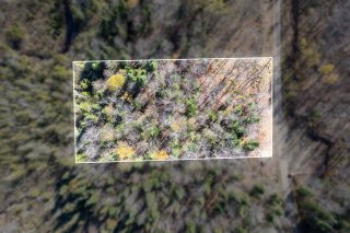 Land/Lot