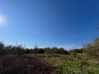 Terre/Terrain