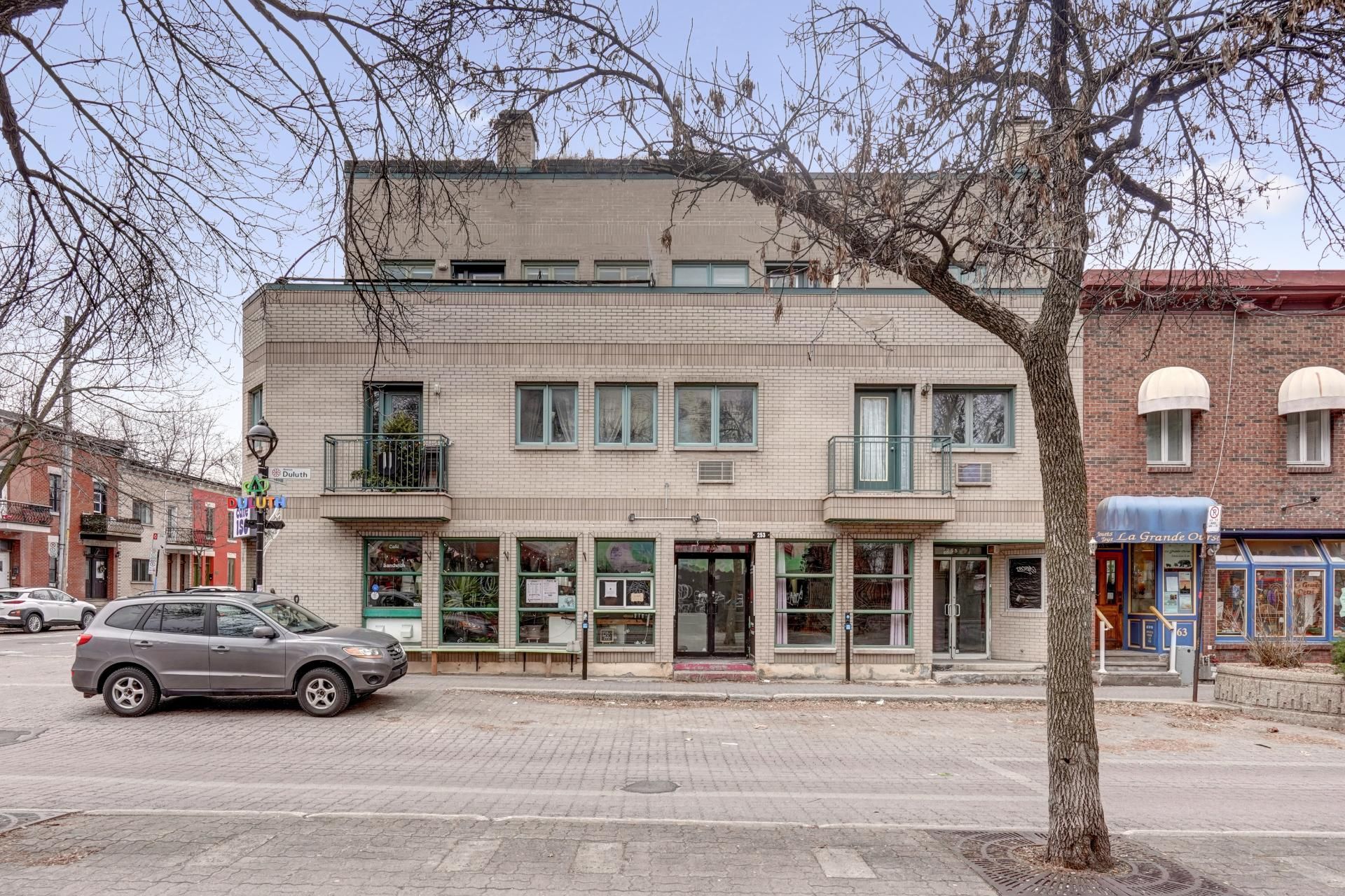 253 Av. Duluth E.