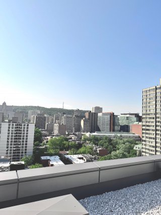 Vue