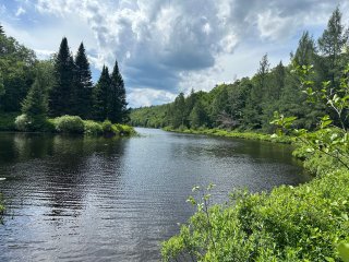 Bord de l'eau