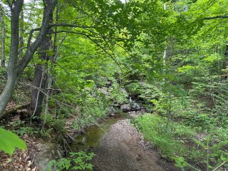 Bord de l'eau
