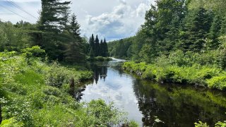 Bord de l'eau