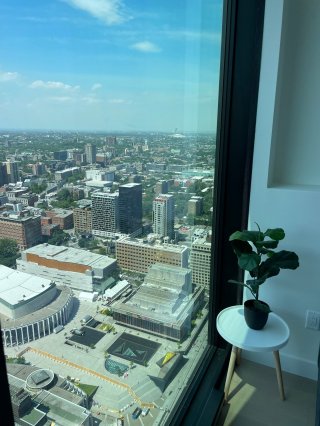 View