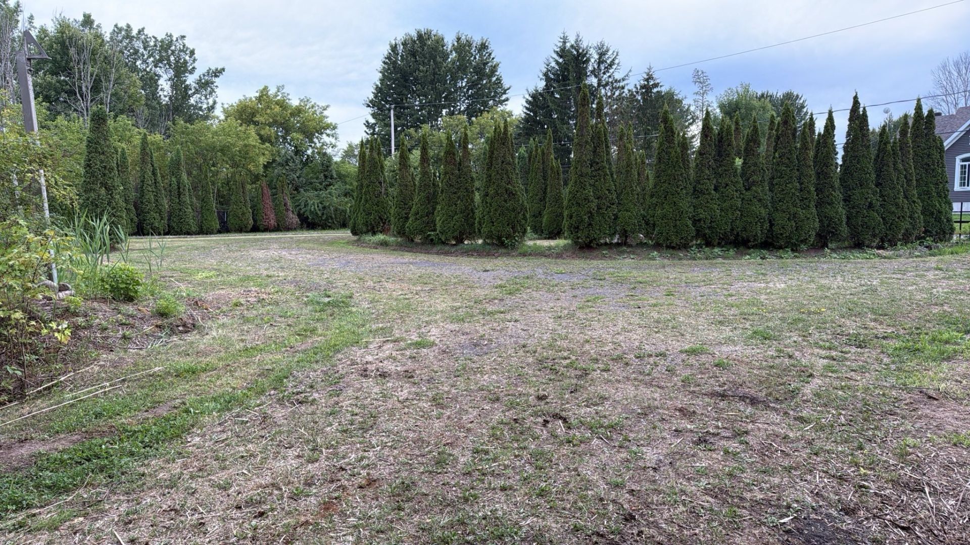 MLS # 16419388