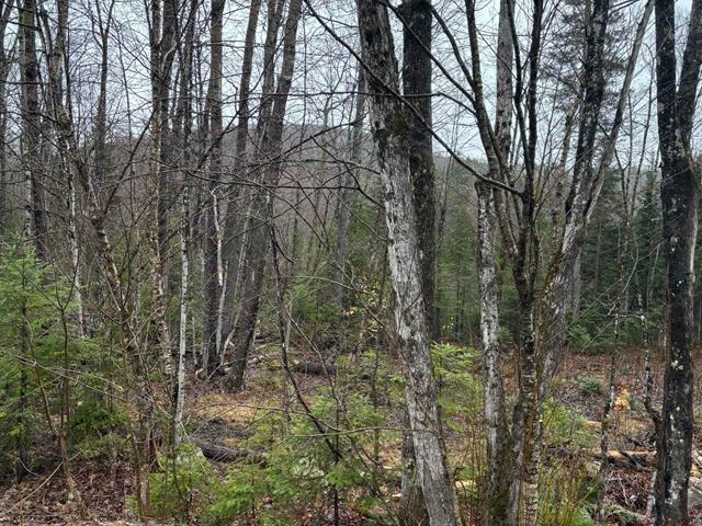 455 Ch. de la Colonie