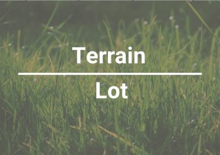 Terre/Terrain