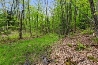 Terre/Terrain
