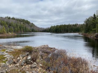 Vue sur l'eau