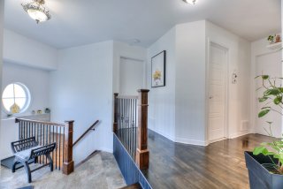 Overall View