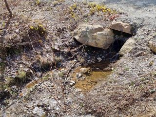 Terre/Terrain