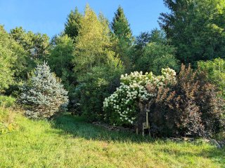 150 Tsse de Brome S. Brome