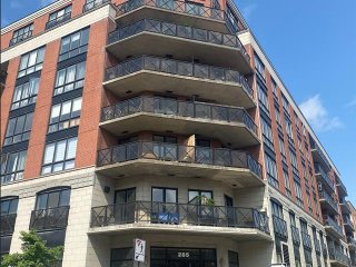 #104 - 285 Av. Laurier E.