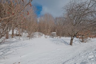 Land/Lot