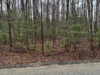 Land/Lot