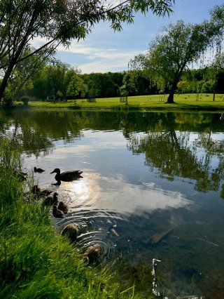 Vue sur l'eau
