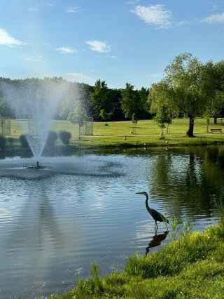 Vue sur l'eau