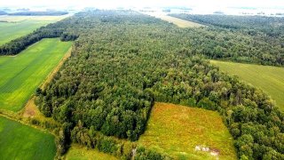 Terre à bois