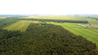 Terre à bois