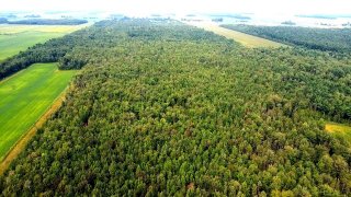 Terre à bois