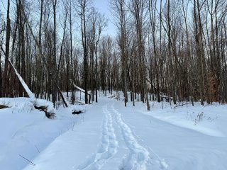 Terre/Terrain