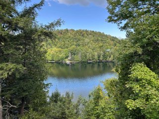 Vue