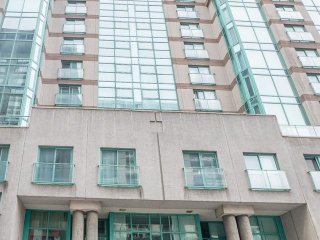 Overall View