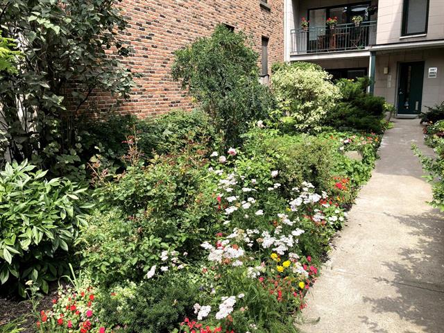 3985 Rue St-Hubert