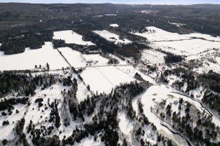 Overall View