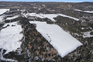 Overall View