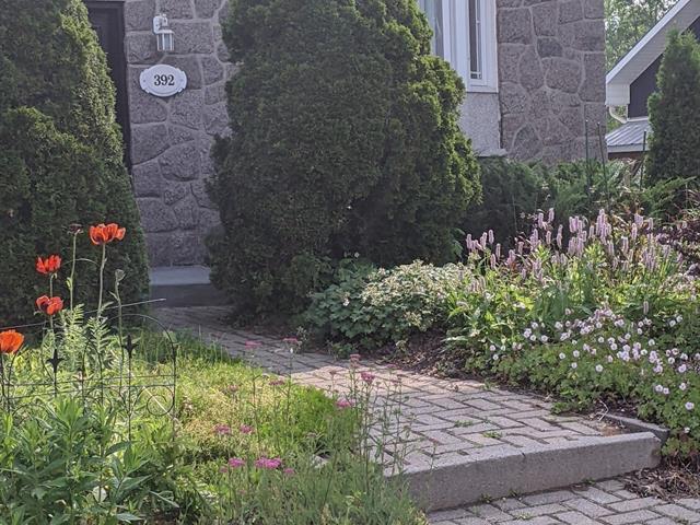 392 Rue de la Briquade