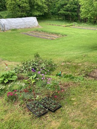Jardin