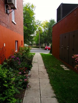 Joëlle Bitar