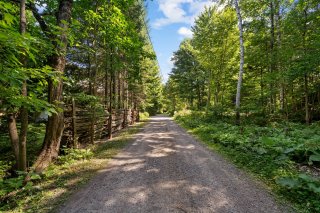 Land/Lot