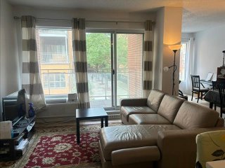 #211 - 1248 Av. de l'Hôtel-de-Ville