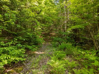 Terre/Terrain